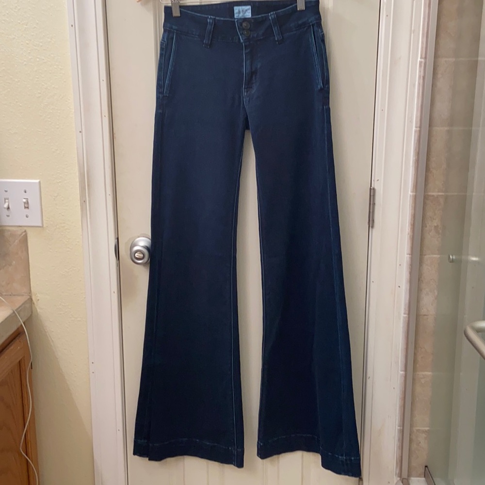 Hudson Flare Jeans
